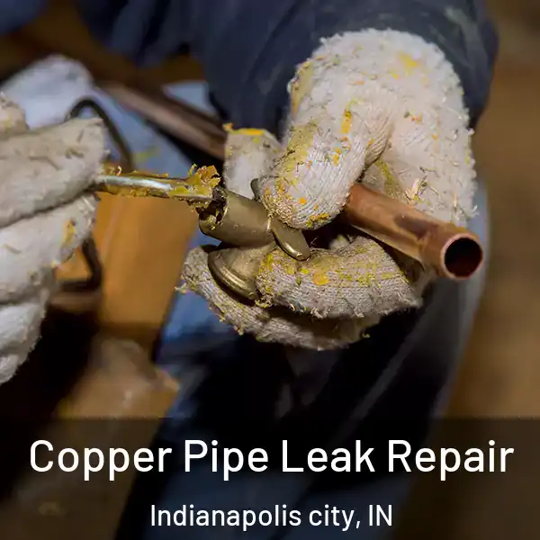  Copper Pipe Leak Repair Indianapolis city, IN