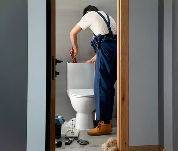 Professional Plumbers for Toilet Bowl Replacement in Indianapolis city, IN: Schedule Affordable Toilet Replacement Services With Us