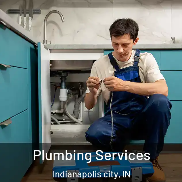 Plumbing Services Indianapolis city, IN