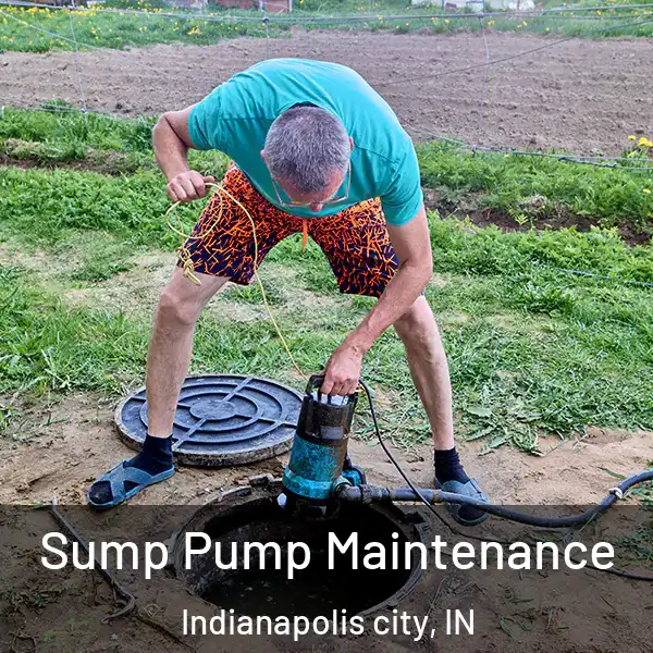  Sump Pump Maintenance Indianapolis city, IN